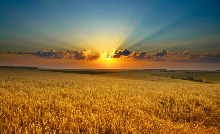 Zonsopgang