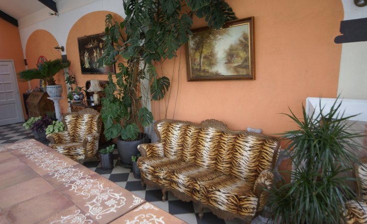 tijger