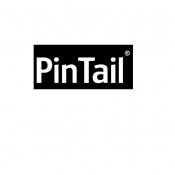Pintail